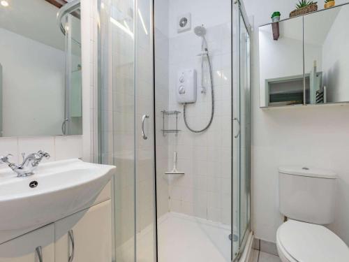 a bathroom with a shower and a sink and a toilet at 1 Bed in Umberleigh oc-09090 in Umberleigh Bridge
