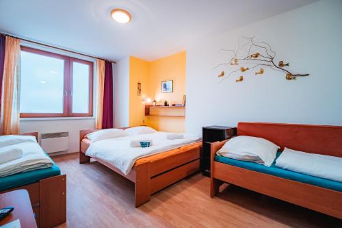 a hotel room with two beds and a window at Little Mountain Apartment in Ostružná