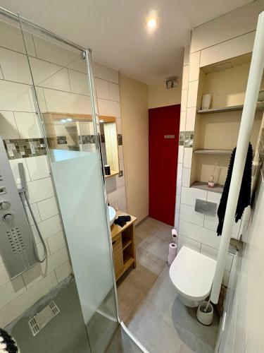 a bathroom with a toilet and a glass shower at L unique Cinéma Room in Grenoble