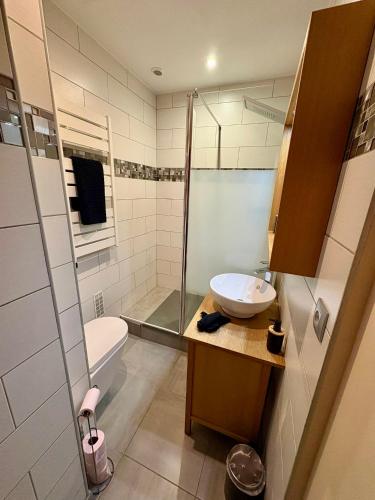 a bathroom with a toilet sink and a shower at L unique Cinéma Room in Grenoble