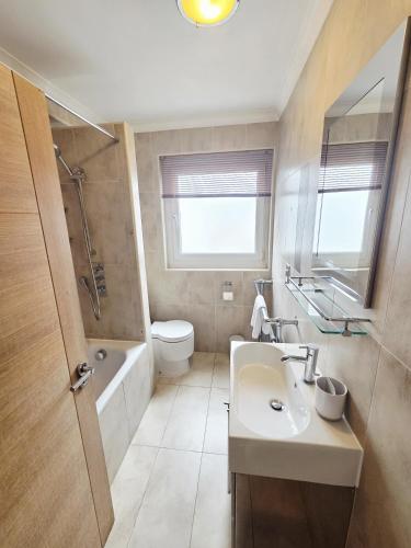 a bathroom with a sink and a shower and a toilet at Luxury Beachfront Apartment Brighton Centre in Brighton & Hove