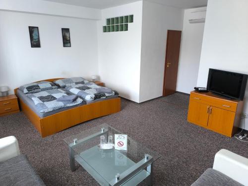 a room with a bed and a tv and a table at Penzion Jarka in Bratislava