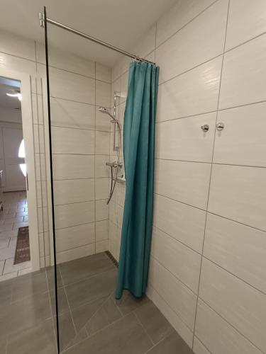 a shower with a blue shower curtain in a bathroom at Ferienwohnung Albel in Velden am Wörthersee
