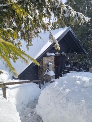 Apartment Bajta - Rogla