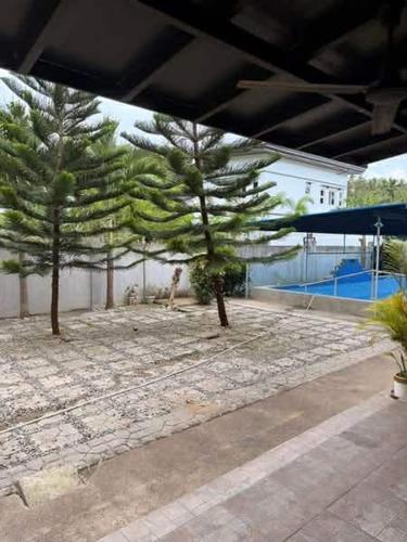 a painting of two trees in a courtyard at Casa Olivia in Puerto Galera