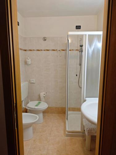 a bathroom with a toilet and a shower and a sink at Hotel Orsa Maggiore in Falcade