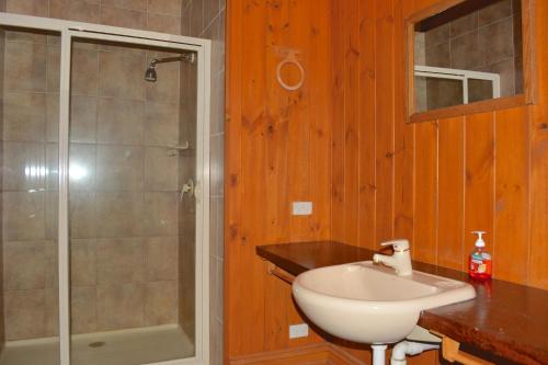 a bathroom with a white sink and a shower at Snowdrop Lodge in Dinner Plain