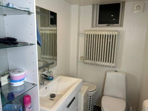 a small bathroom with a sink and a toilet at Basement Apartment in Villa in Odense
