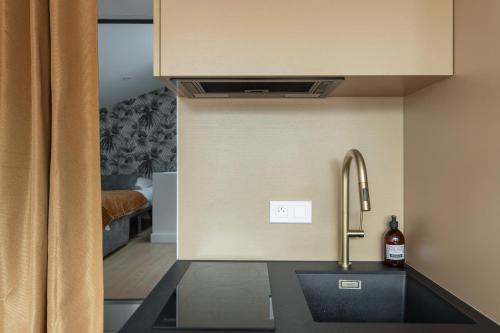 Le Petit Canut - T1 sous les toits avec vue