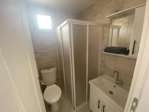 a bathroom with a toilet and a shower and a sink at Harmony Blue Pansiyon in Burhaniye