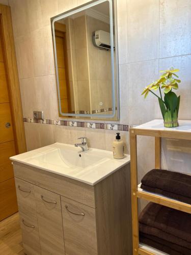 a bathroom with a sink and a mirror at Isabella in Roquetas de Mar