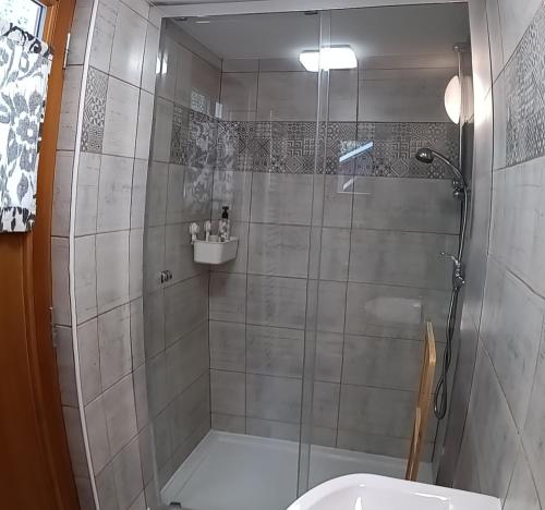 a bathroom with a shower and a toilet and a sink at Pravda in Loket