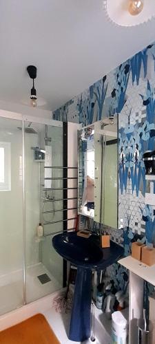 a bathroom with a sink and a shower at Appartement quartier des Halles in Douarnenez