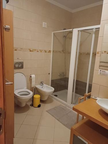 a bathroom with a toilet and a shower and a sink at Q1 Blueroom Sofia's Happy Apartment in Loulé