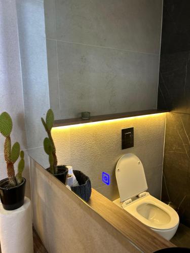 a bathroom with a toilet and some cactuses in it at Casa del jazmin Kfarabida in Kafr ‘Ubaydā