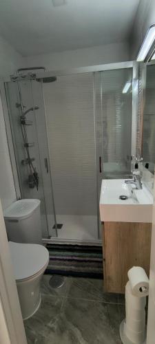 a bathroom with a shower and a toilet and a sink at Casa Dolores in Puerto de Mazarrón