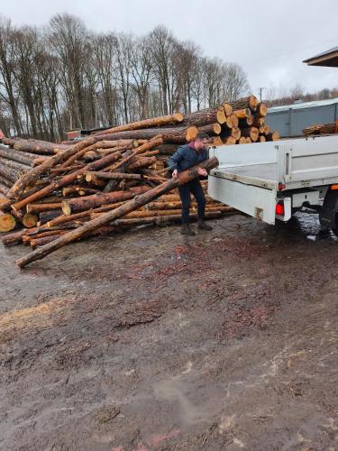 Słoneczne domki na Roztoczu