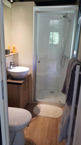 a bathroom with a shower and a toilet and a sink at Casa Prunelli in Bastelicaccia