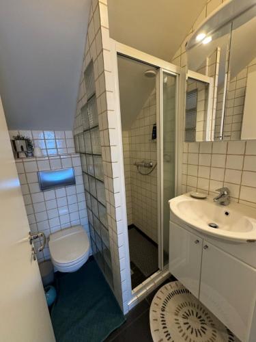 Bany a Scandinavian retro