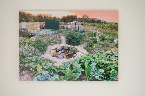 WILSON's Herbgarden Apartment operated by HostGuides