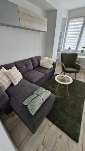 2-room apartment in the center, near Xbionic-sphere