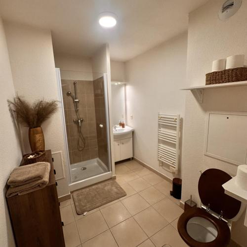 a bathroom with a shower and a toilet and a sink at Les Jardins de Rastel Studio in Lyon