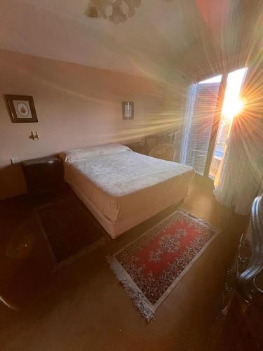 a bedroom with a bed and a window and a rug at La casa del recho in Santo Tomé