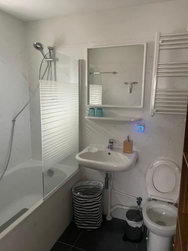 a bathroom with a sink and a toilet and a shower at Dunes & Sea at Kijkduin in The Hague