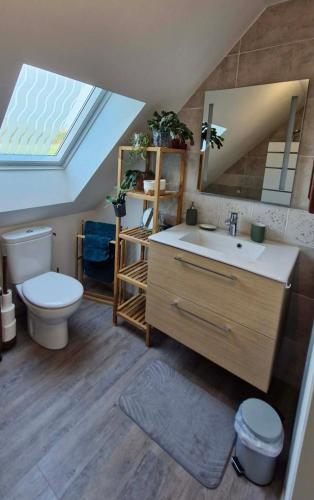a bathroom with a sink and a toilet and a mirror at Chambre confortable chez Isabelle in Cléden-Cap-Sizun