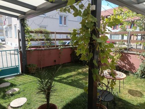 Charming guest suite in triborder area