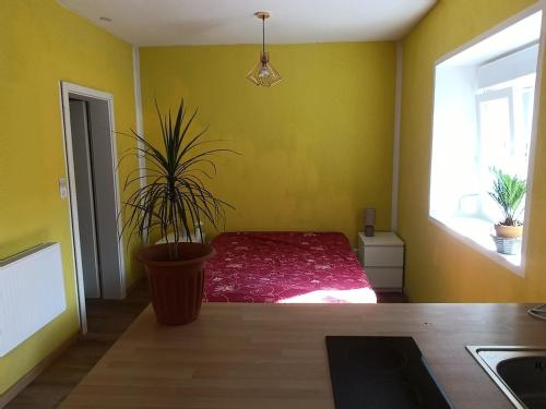 a bedroom with a red bed and a potted plant at Charming guest suite in triborder area in Huningue