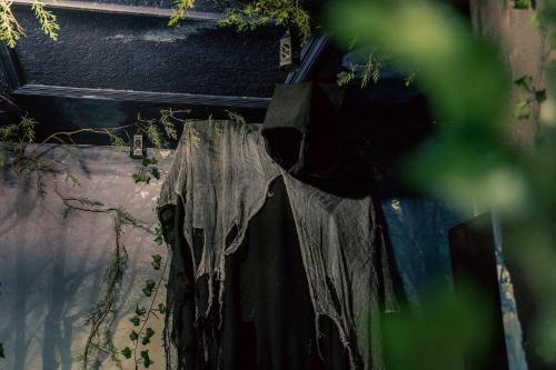 Stay at Hogwarts Harry Potter's Home, Free Parking, Pets Allowed photo 21