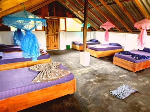a group of four beds in a room at Backpackers Hostel in Ella