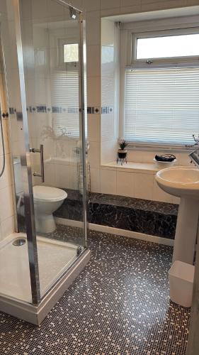 a bathroom with a shower and a toilet and a sink at stylish new house sleeps 5 max in Swansea