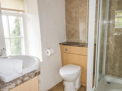 a bathroom with a toilet and a sink and a shower at Cottage 3 in Keswick