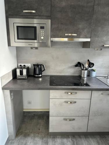 a kitchen with a stove and a microwave at BOUTON D'OR Studio Terrasse Grand Lit Coin Repas in Château-Arnoux-Saint-Auban