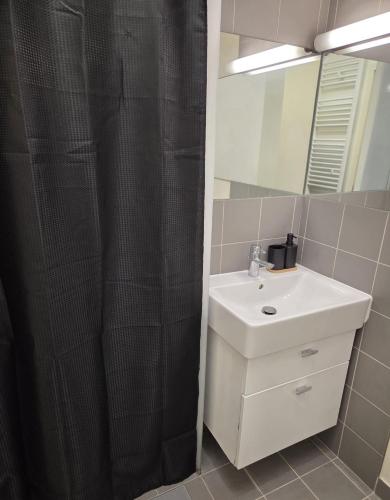 a bathroom with a sink and a shower curtain at Amour x Paris x Netflix x Wheel chair Access in Ivry-sur-Seine