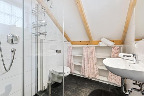 a bathroom with a shower toilet and a sink at Chalet Lachtal in Lachtal