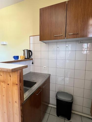 a kitchen with a sink and a toilet in it at Résidence thermale de Vernet-les-Bains - balcon, ascenseur, wifi, parking in Vernet-les-Bains