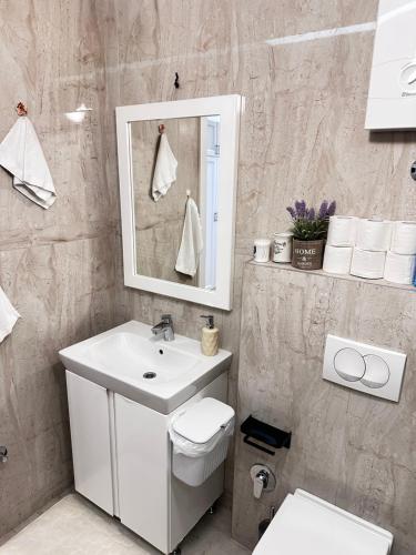 a bathroom with a sink and a toilet and a mirror at Planinski MIR Bjelašnica in Bjelašnica