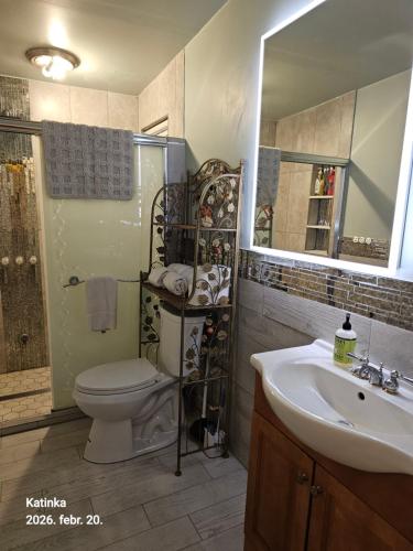a bathroom with a toilet and a sink and a mirror at 2#studio In Clearwater usa in Clearwater