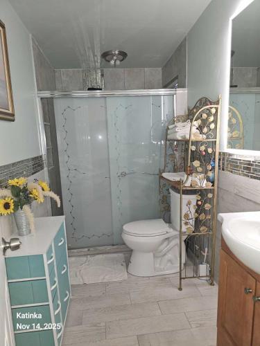 a bathroom with a toilet and a shower and a sink at 2#studio In Clearwater usa in Clearwater