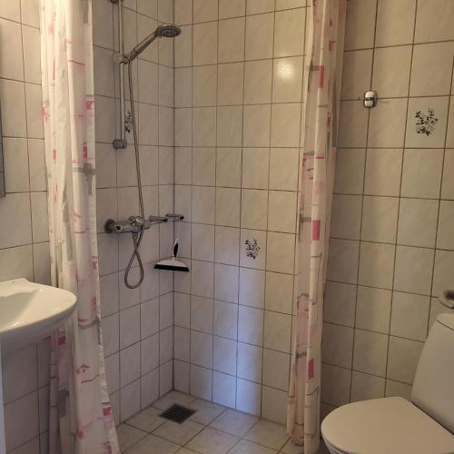 a bathroom with a shower with a toilet and a sink at Lysbjerggård in Faaborg