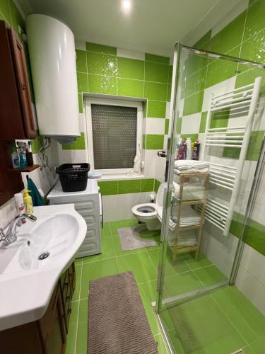 a green bathroom with a sink and a shower at Barackvirág-Vendégház in Érpatak