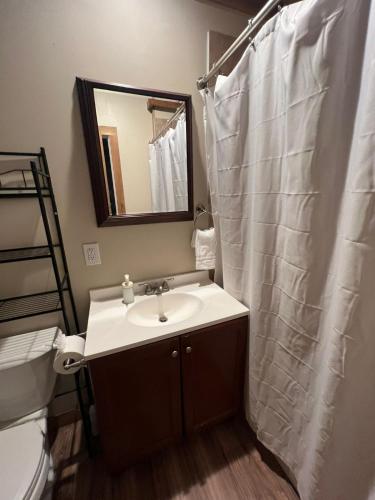 a bathroom with a sink and a shower curtain at Cottage No 4 on Ranch in McKinney