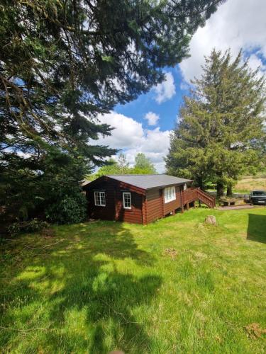 a small cabin in a grassy field with trees at Cabin Retreat in Trawsfynydd