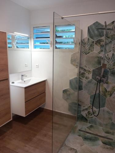 a bathroom with a shower and a sink at Ti Kaz Salazie 2 in Salazie