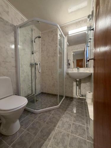 a bathroom with a shower and a toilet and a sink at Sea View apartment in Askøy
