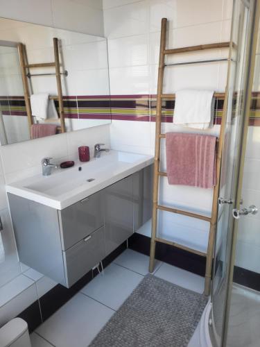 ein Badezimmer mit Waschbecken und einer Leiter neben der Dusche in der Unterkunft L'Armancine, chambres d'hôtes in Saint-Florentin
