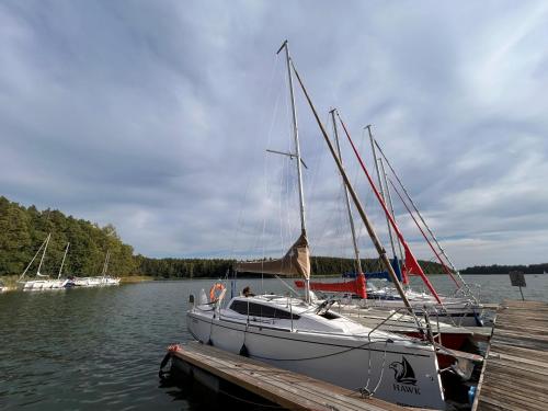 Maxus 24 evo na Wdzydzach - wymagane uprawnienia sternika jachtowego, OC sternika, NNW załogi